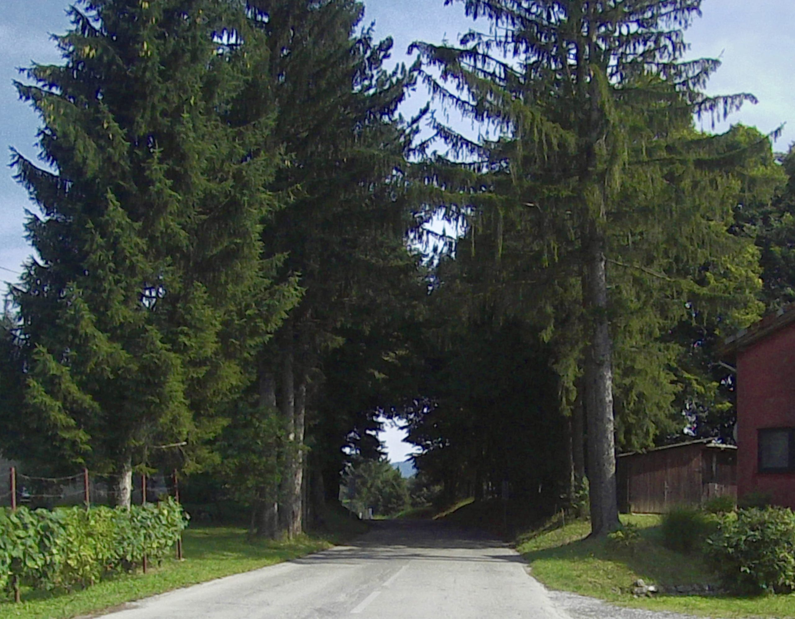 Verso Plitvicka Jezera