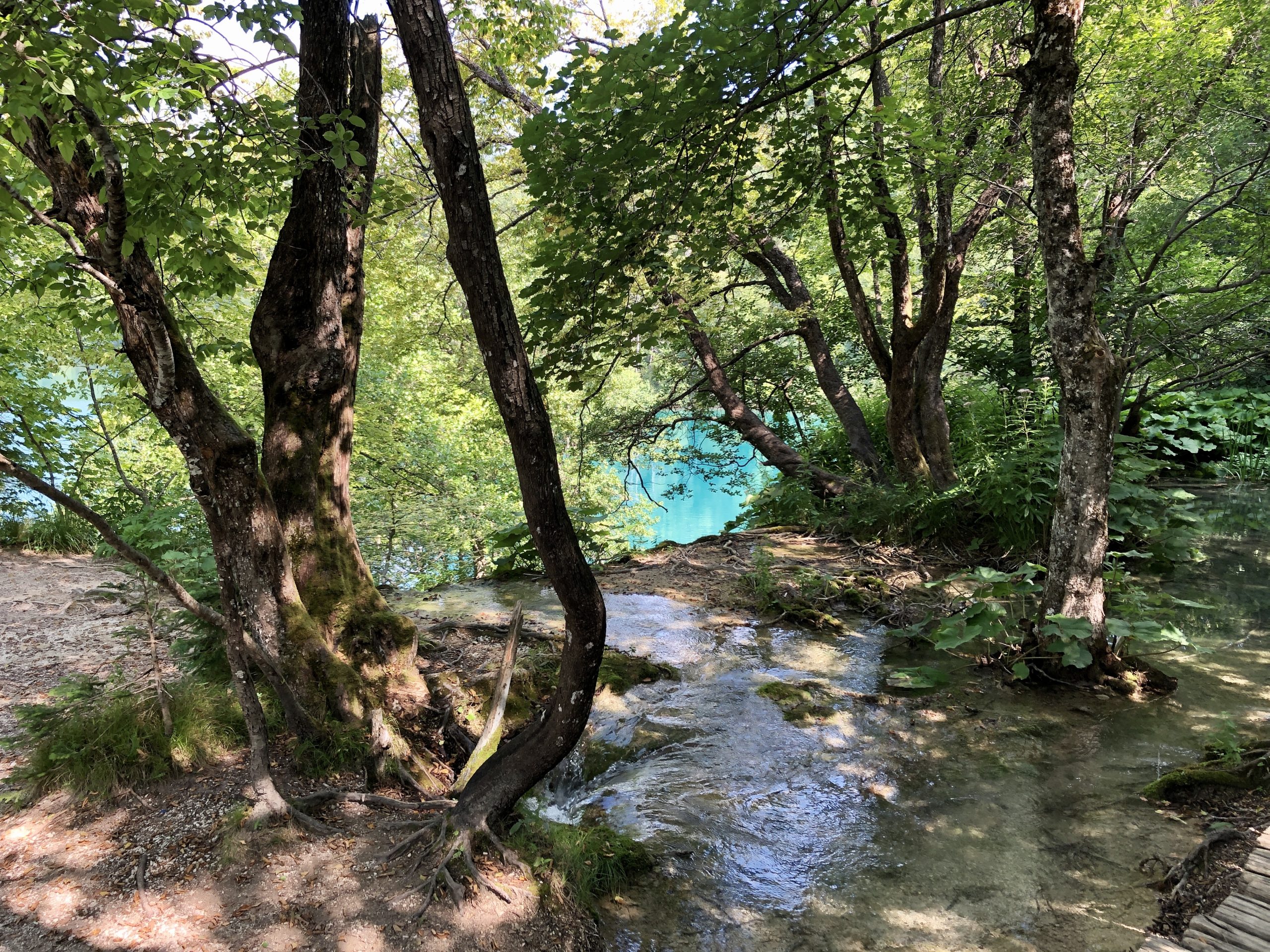 Laghi di Plitvice