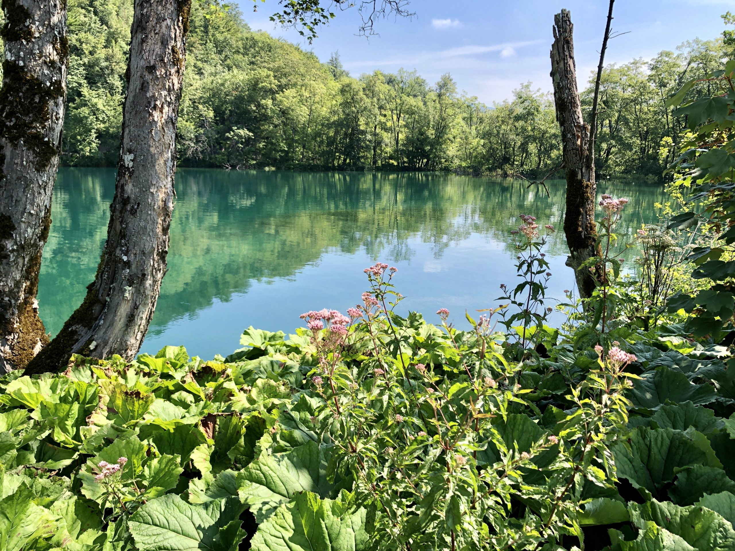 Laghi di Plitvice