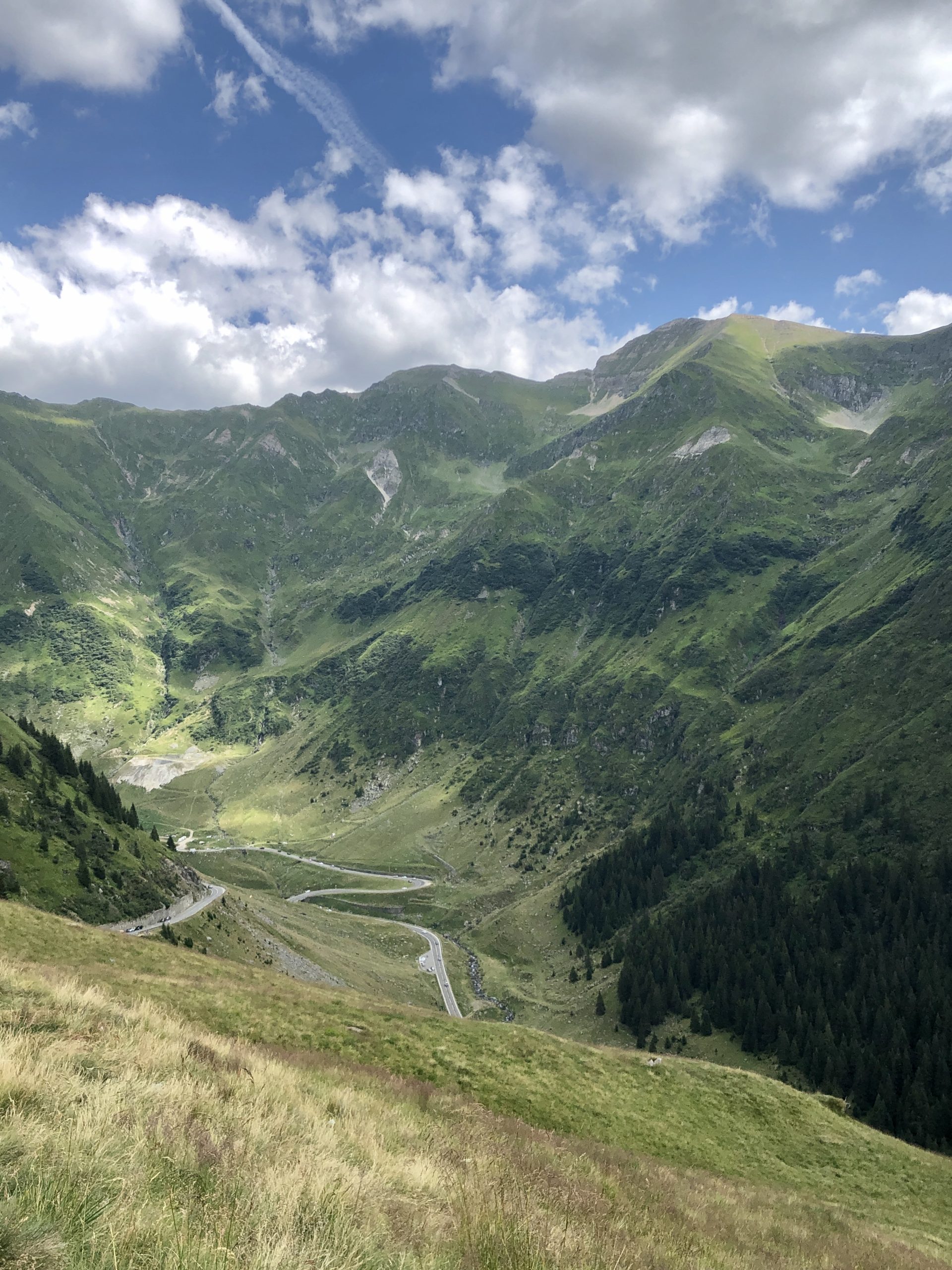 Orsi lungo la Transfăgărășan