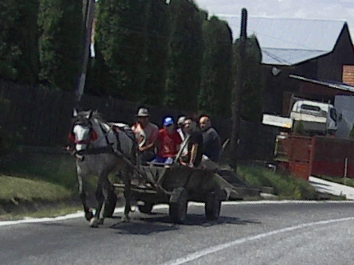 Transfăgărășan