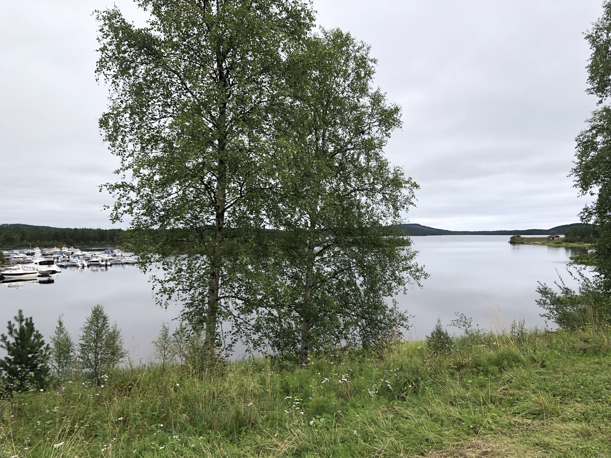 Paesaggio della Finlandia durante il viaggio verso Rovaniemi