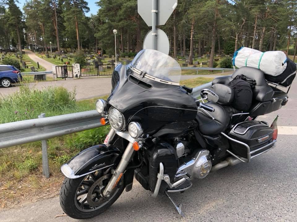 Renna lungo la strada in Finlandia